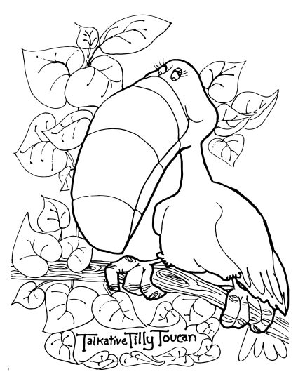 Toucan Coloring Page Bagel Island Creations